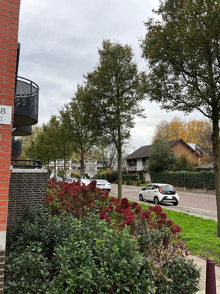 Commissaris van der Hartenlaan 118