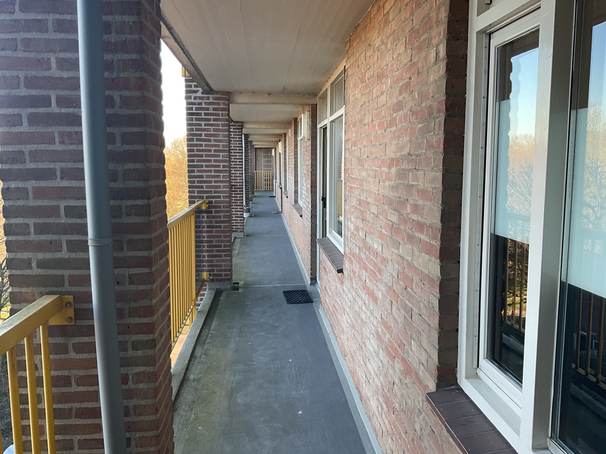 Geraert ter Borchstraat 36