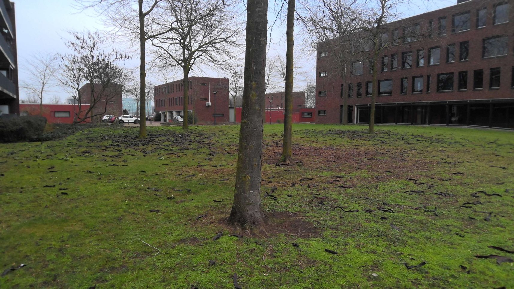 Karel Doormanstraat 16A