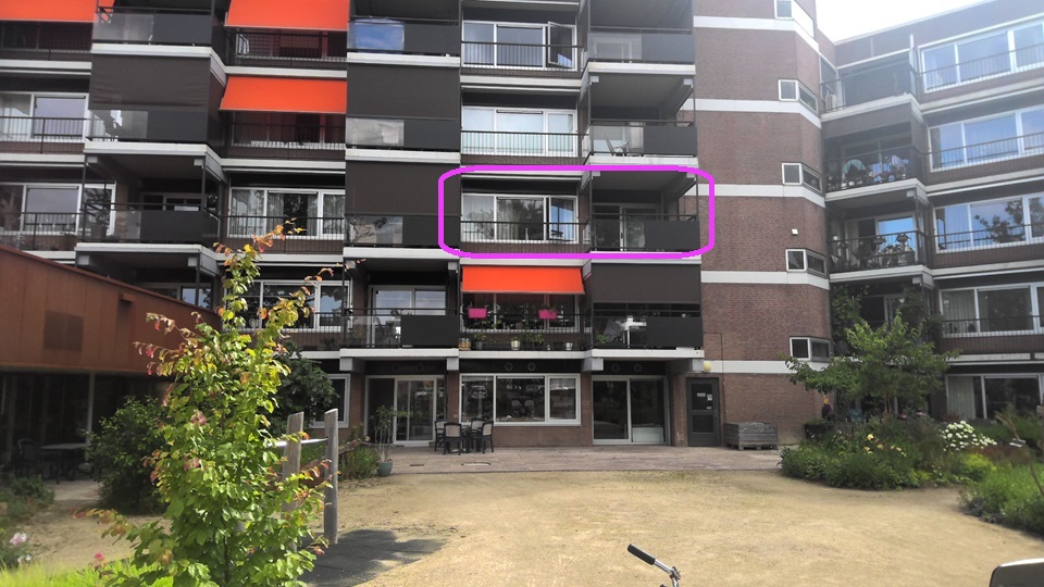 Sterrebos 279