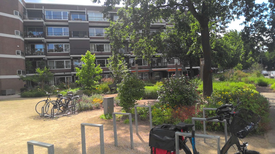 Sterrebos 279