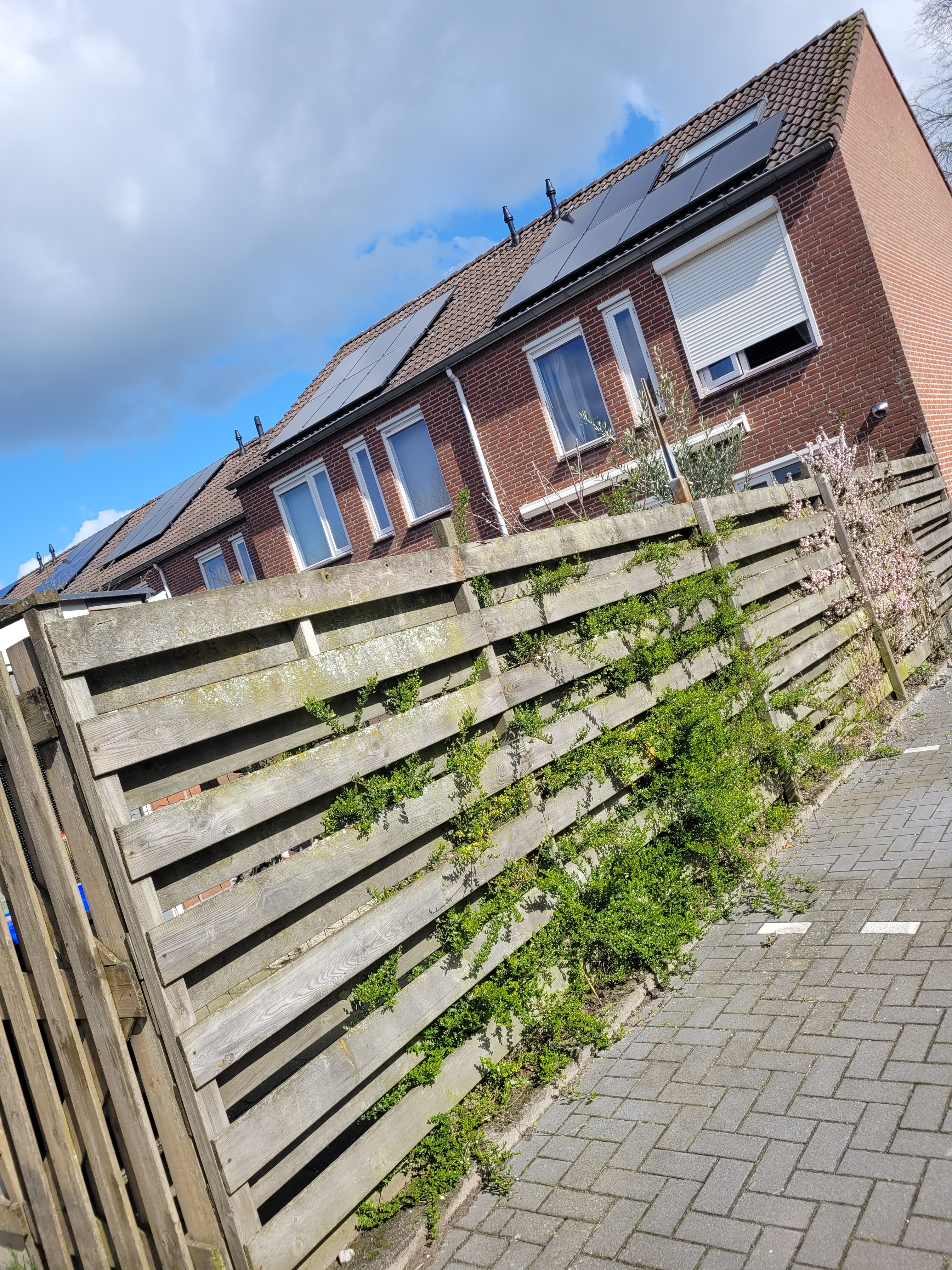 Willem Schiksstraat 12