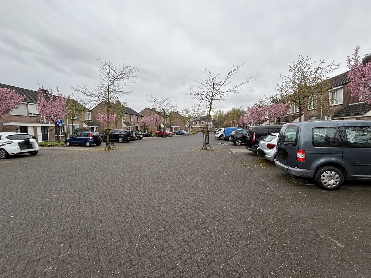 Meierij 50