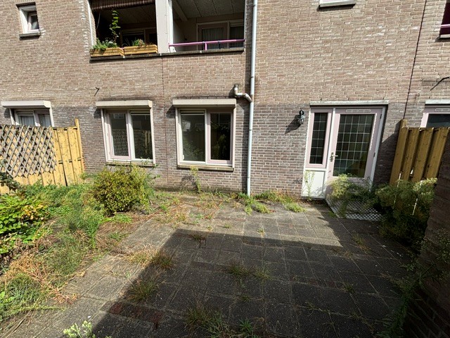 Geldersedam 11