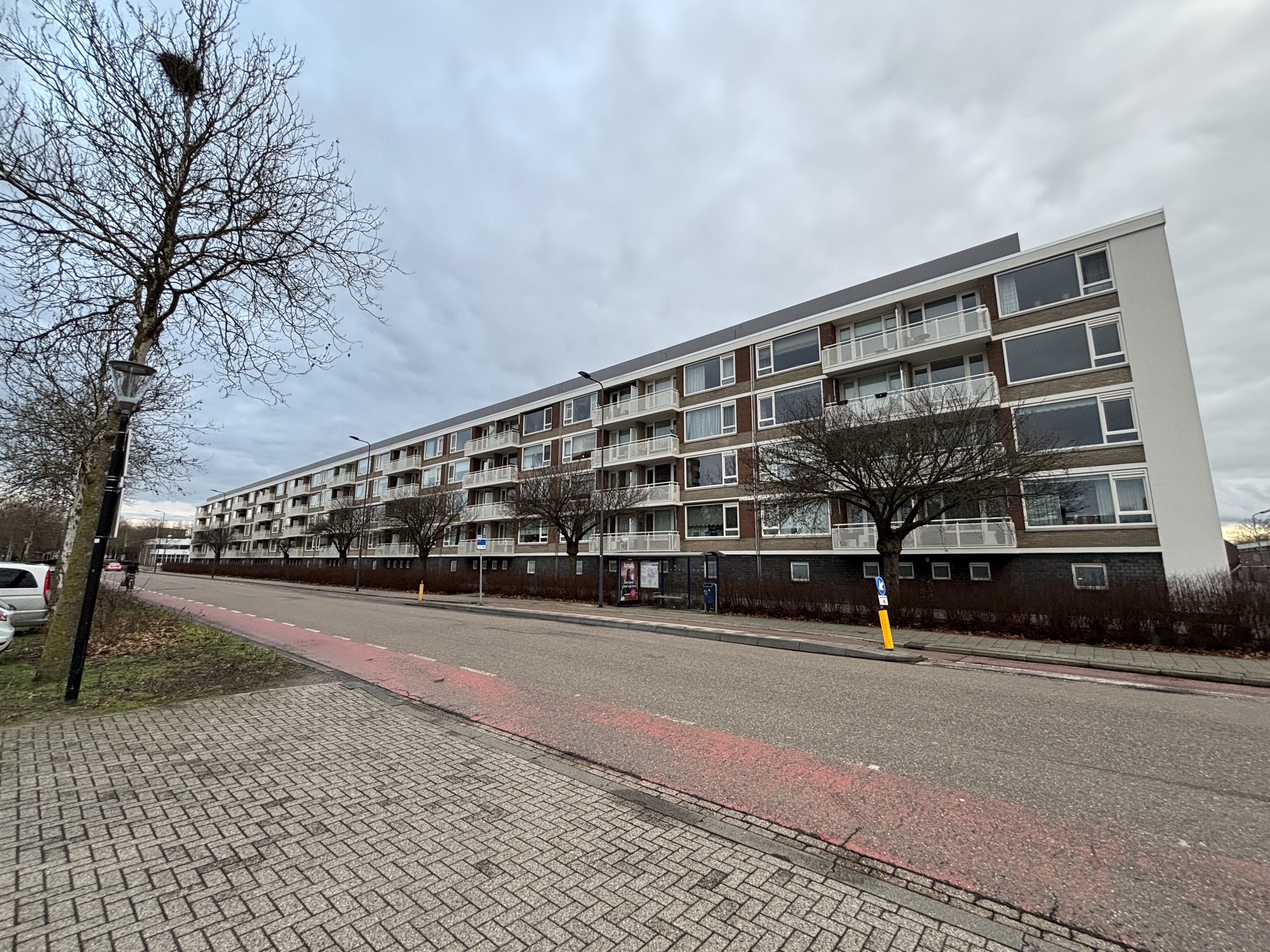 Rijzertlaan 42, 5223 JM 's-Hertogenbosch, Nederland