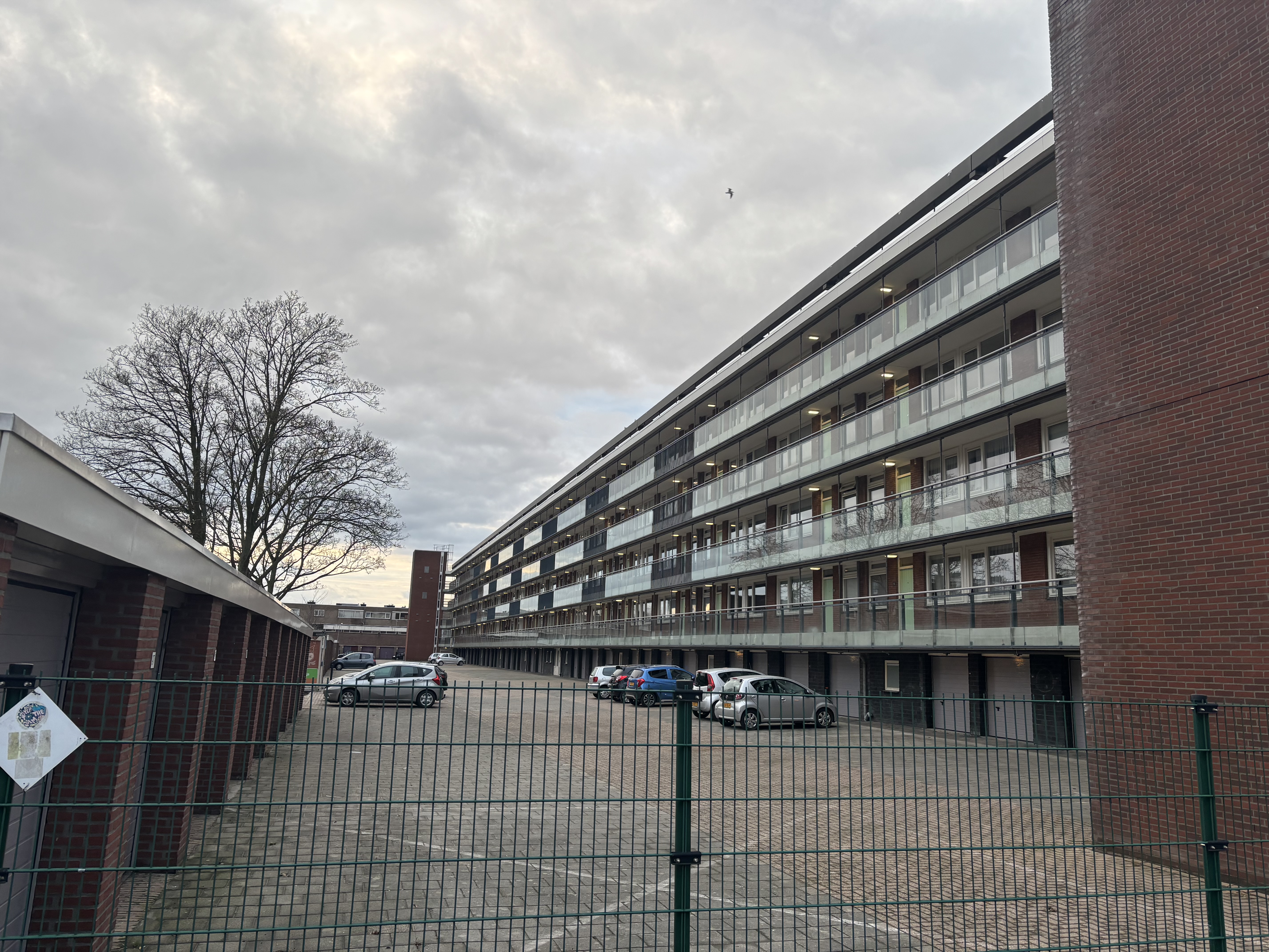 Rijzertlaan 42