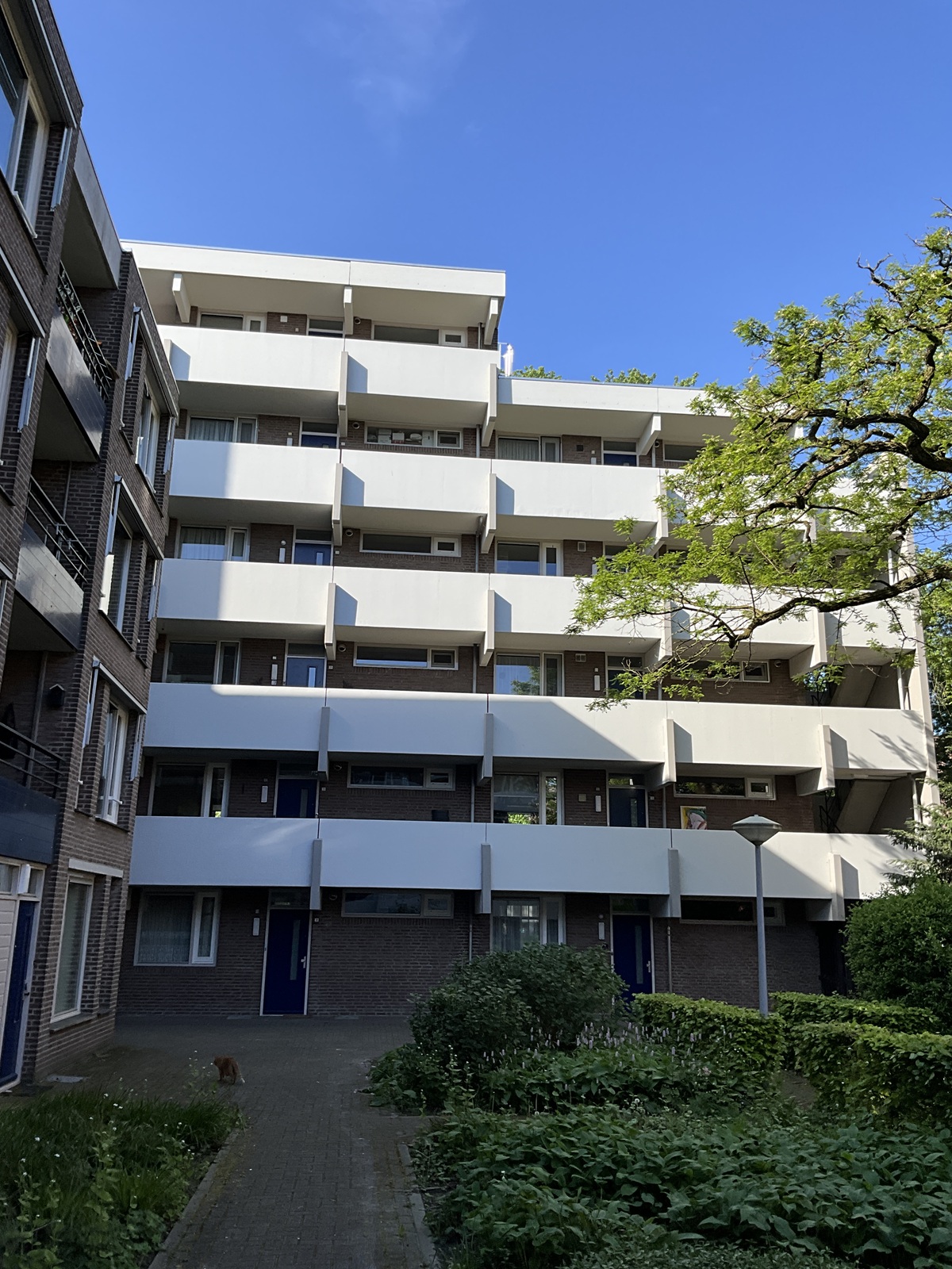 Gervenstraat 37, 5211 PD 's-Hertogenbosch, Nederland