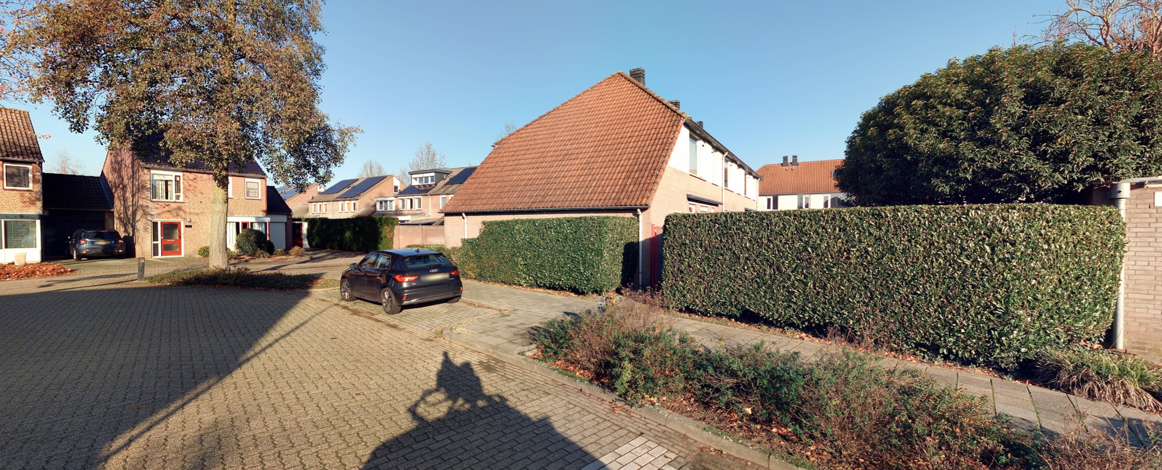 Bladkoninkje 1