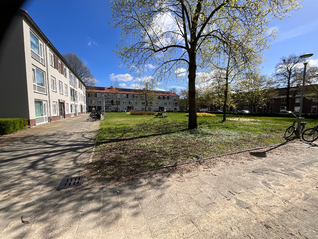Pieter Breughelstraat 168