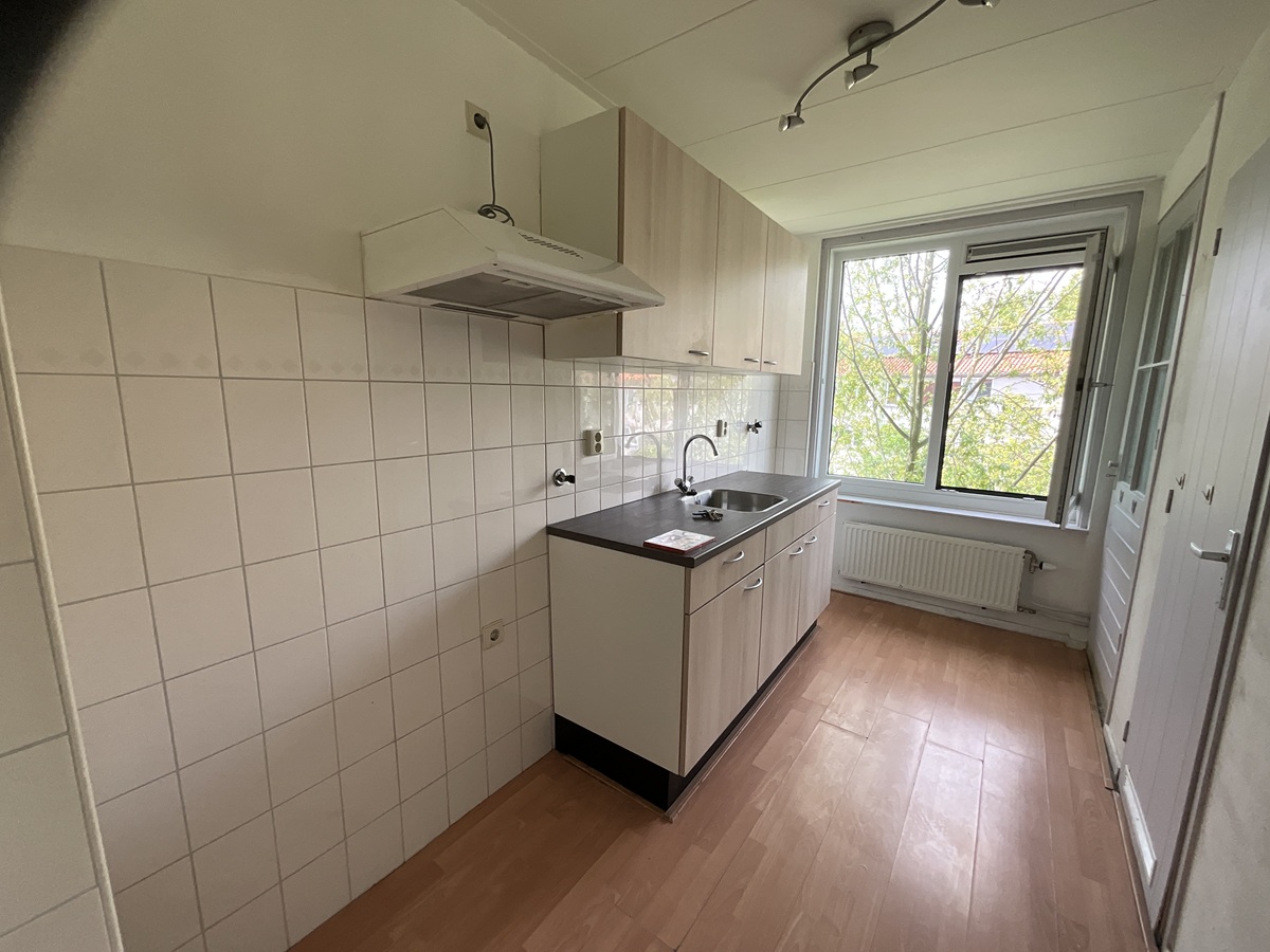 Pieter Breughelstraat 168