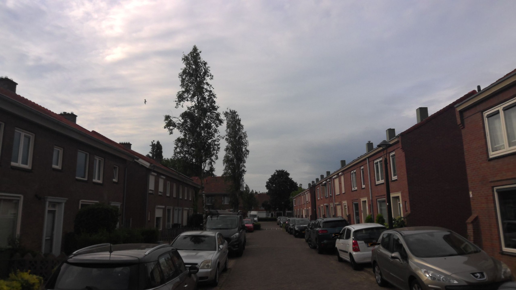 Berkenstraat 7