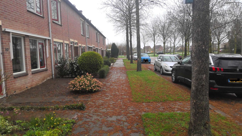 Distelweg 56