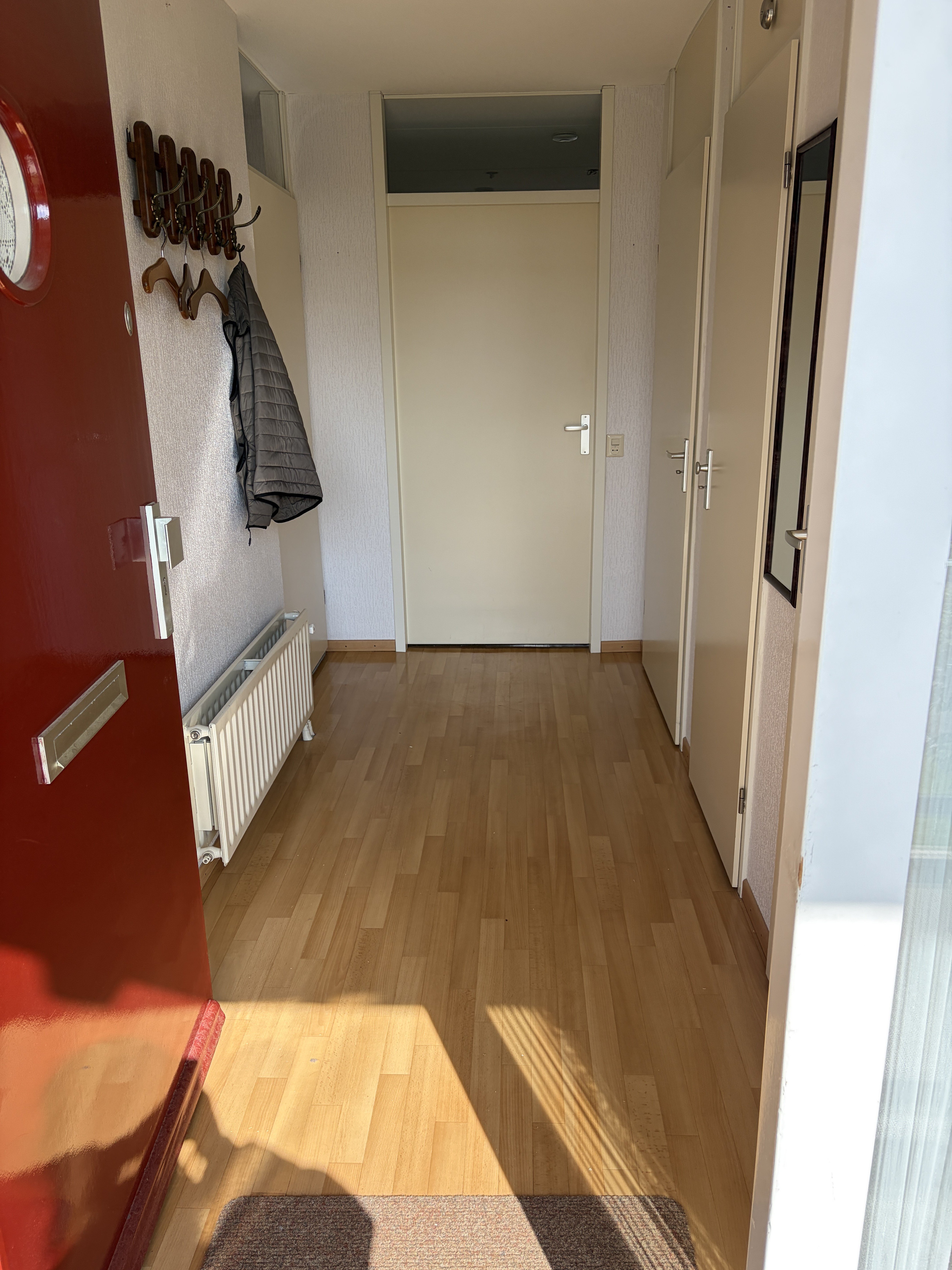 Dommelstraat 65