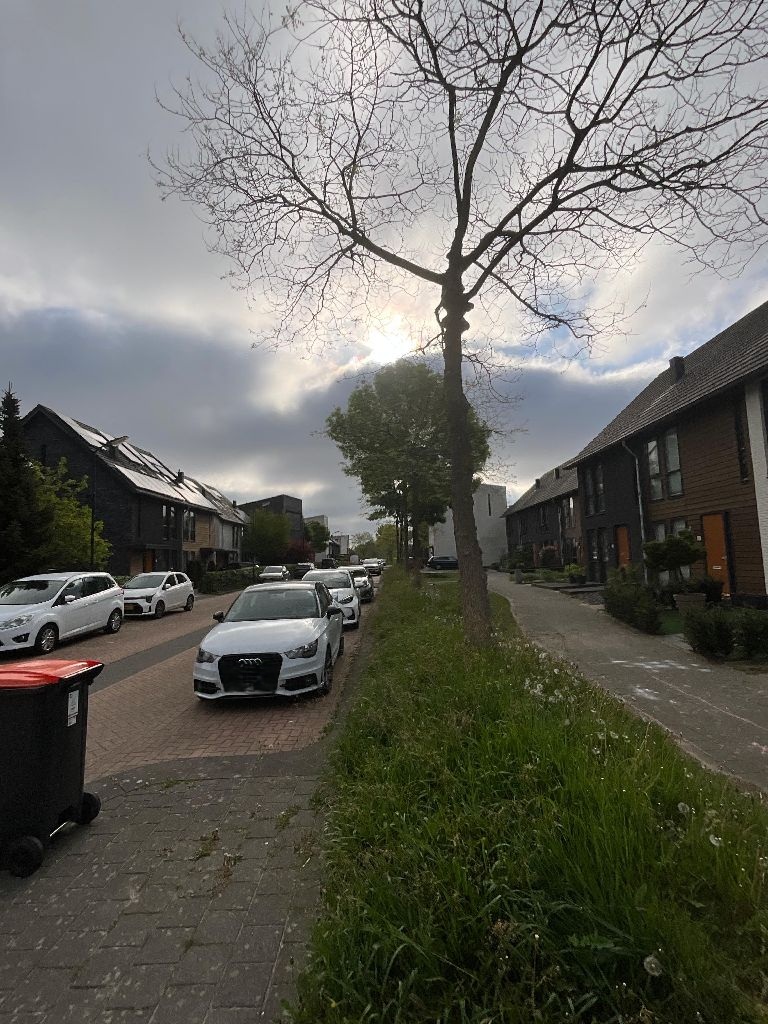 Gaffel 20
