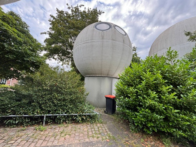 Bollenveld 81