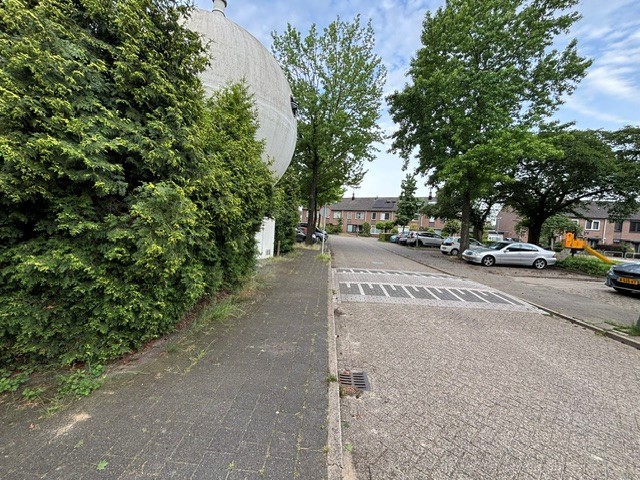 Bollenveld 81