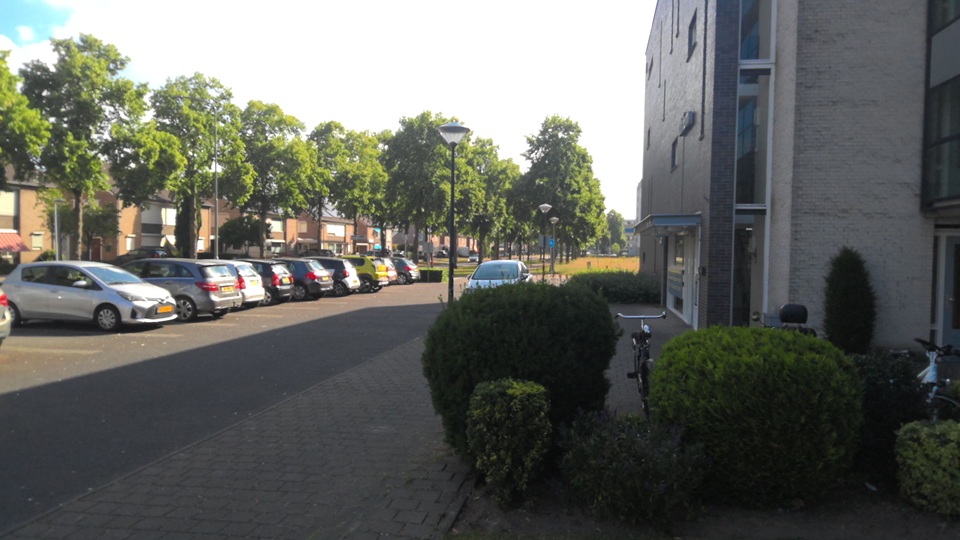 Schaepmanlaan 478