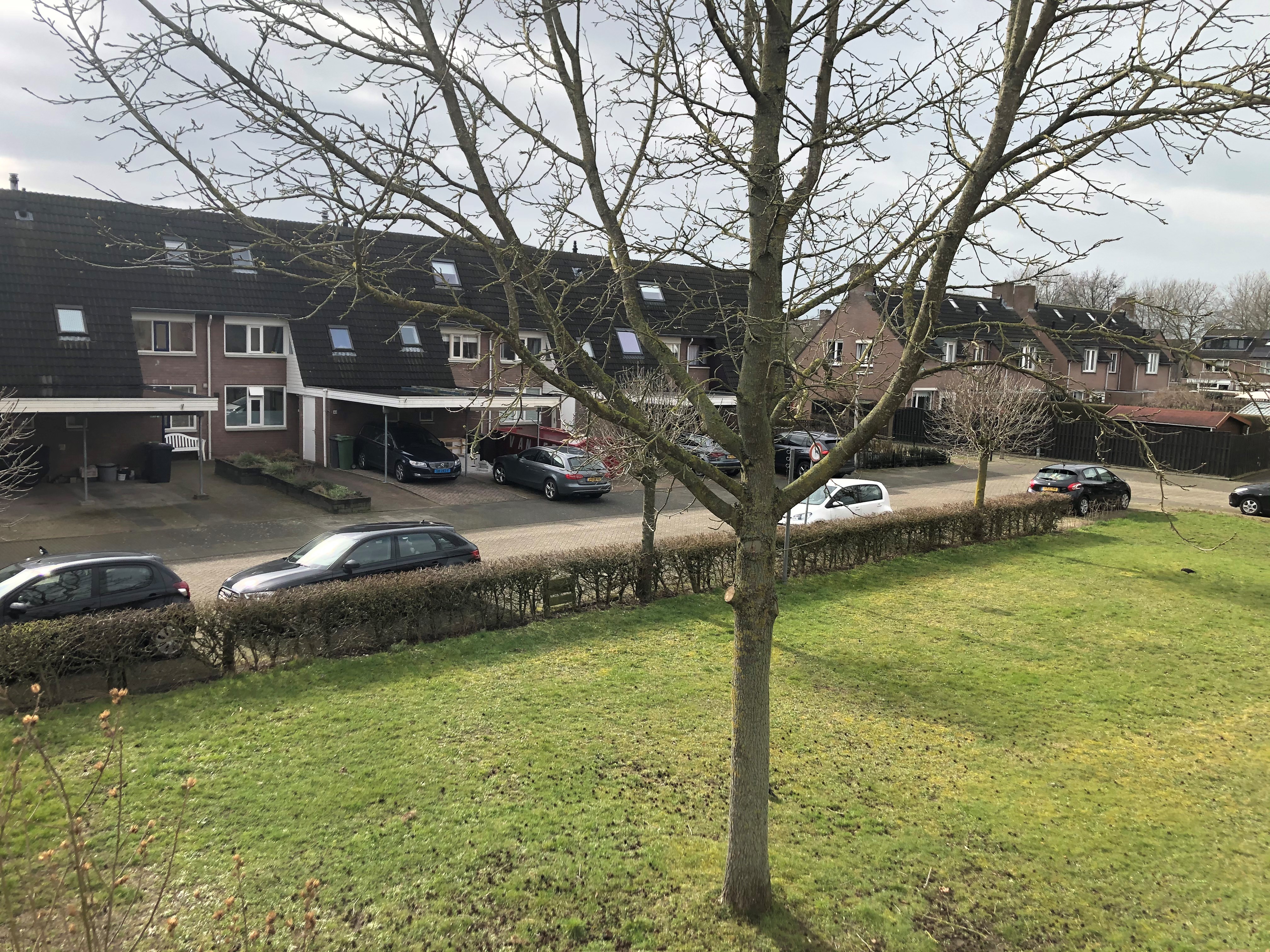Adenauerlaan 27