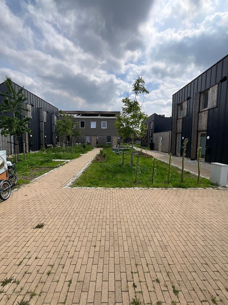 Den Dries 3