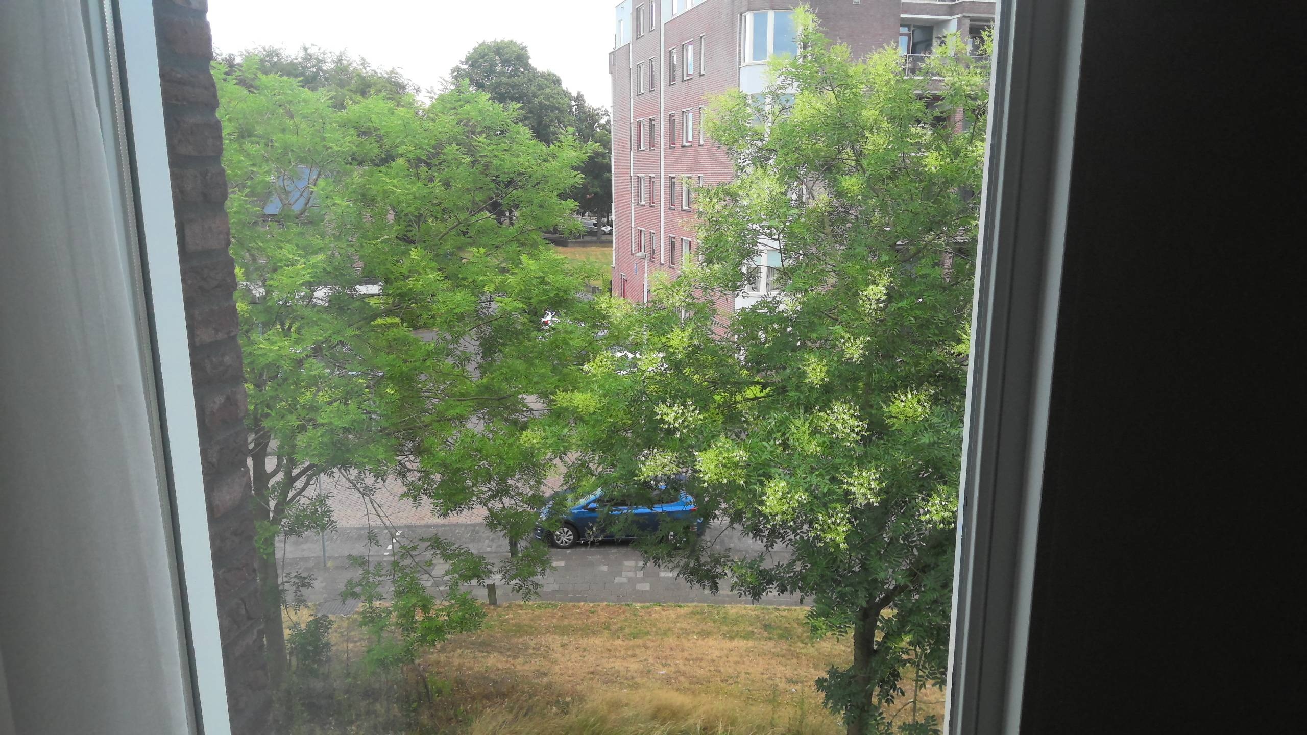 Begijnenstraat 38H