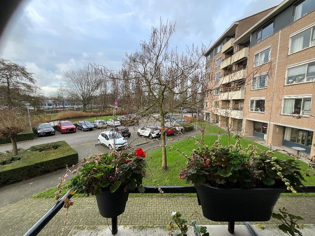 De Eendenkooi 98