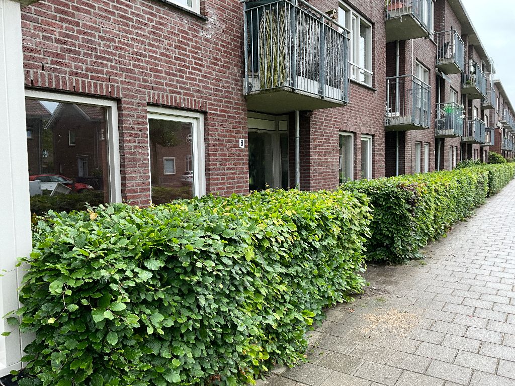 Pastoor Mutsaersstraat 6