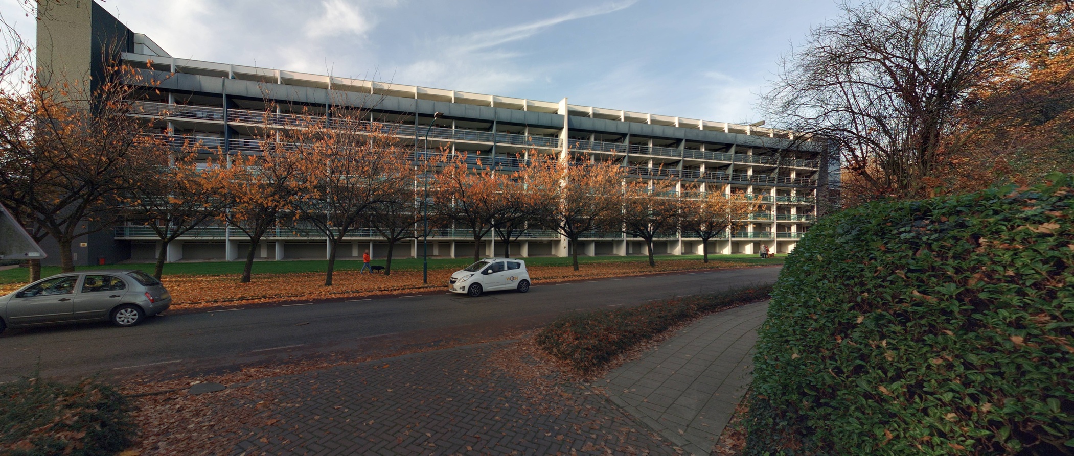 Patrijzenveld 66