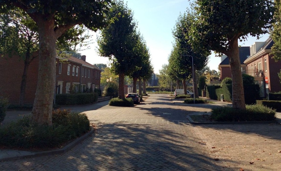 Lijsterlaan 55