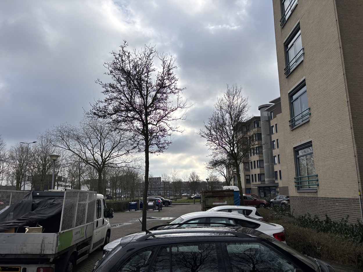 Heerendonklaan 171