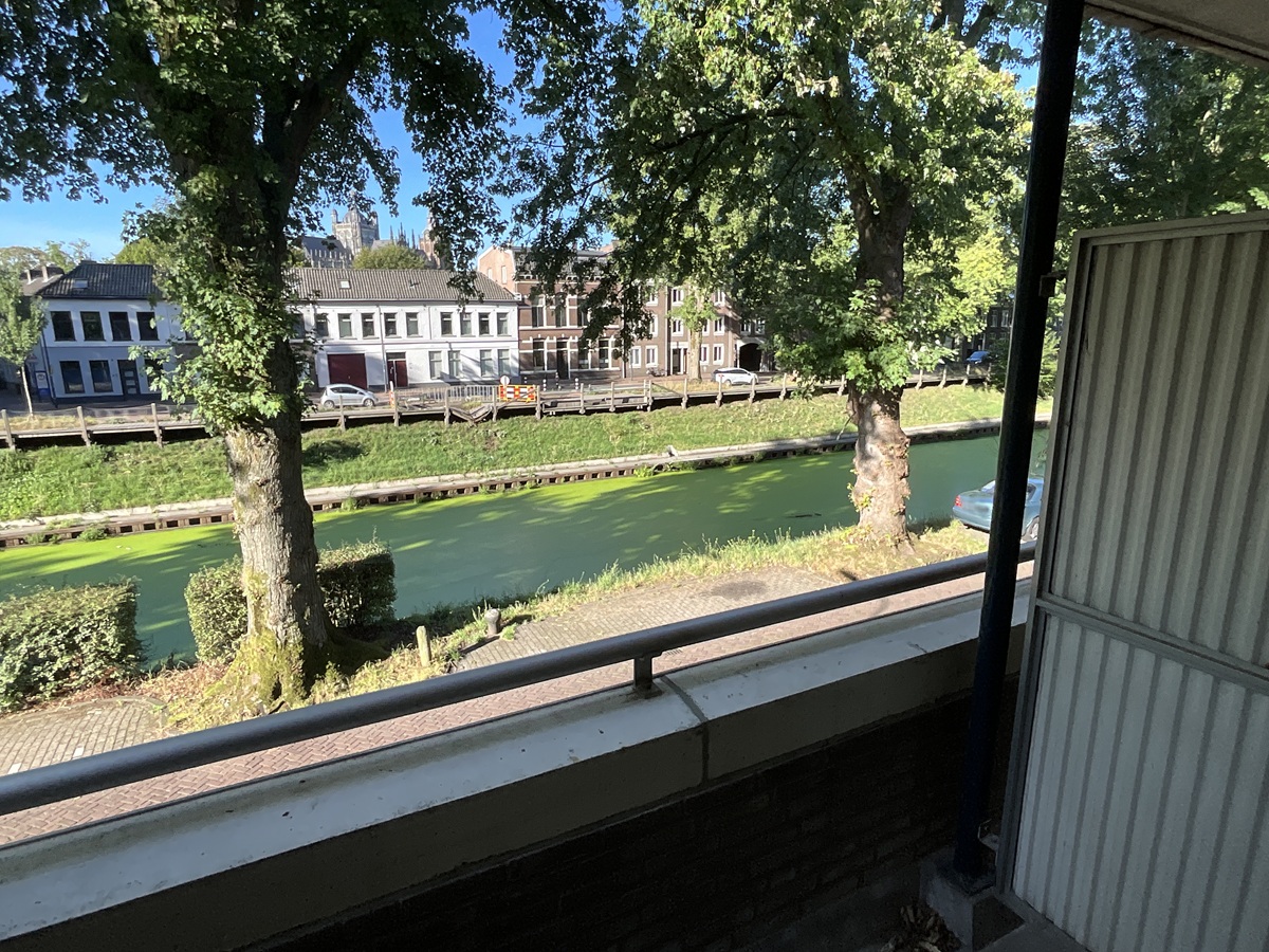 Zuid-Willemsvaart 316