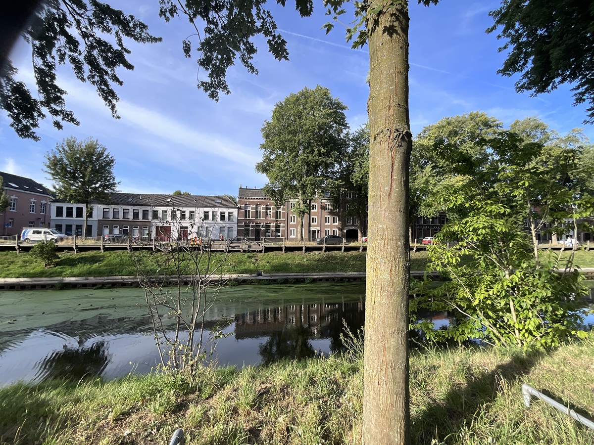 Rouppe Van Der Voortplein 16