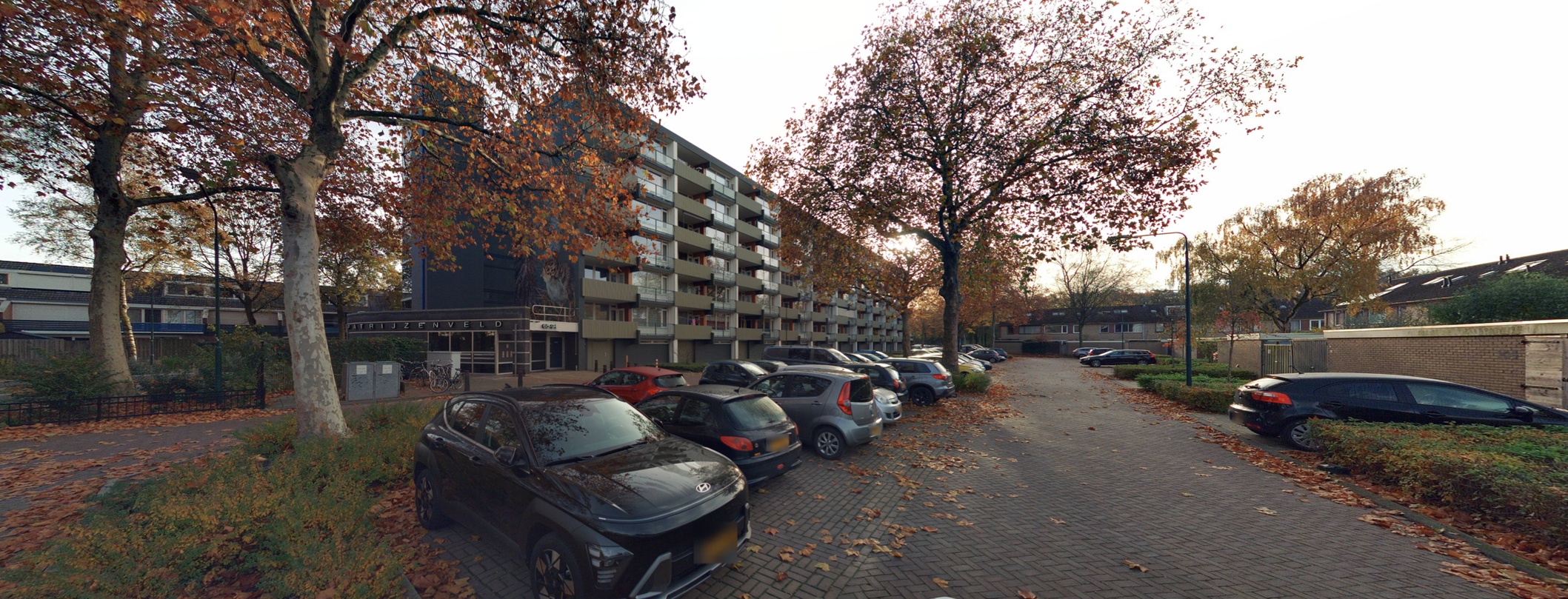 Patrijzenveld 61