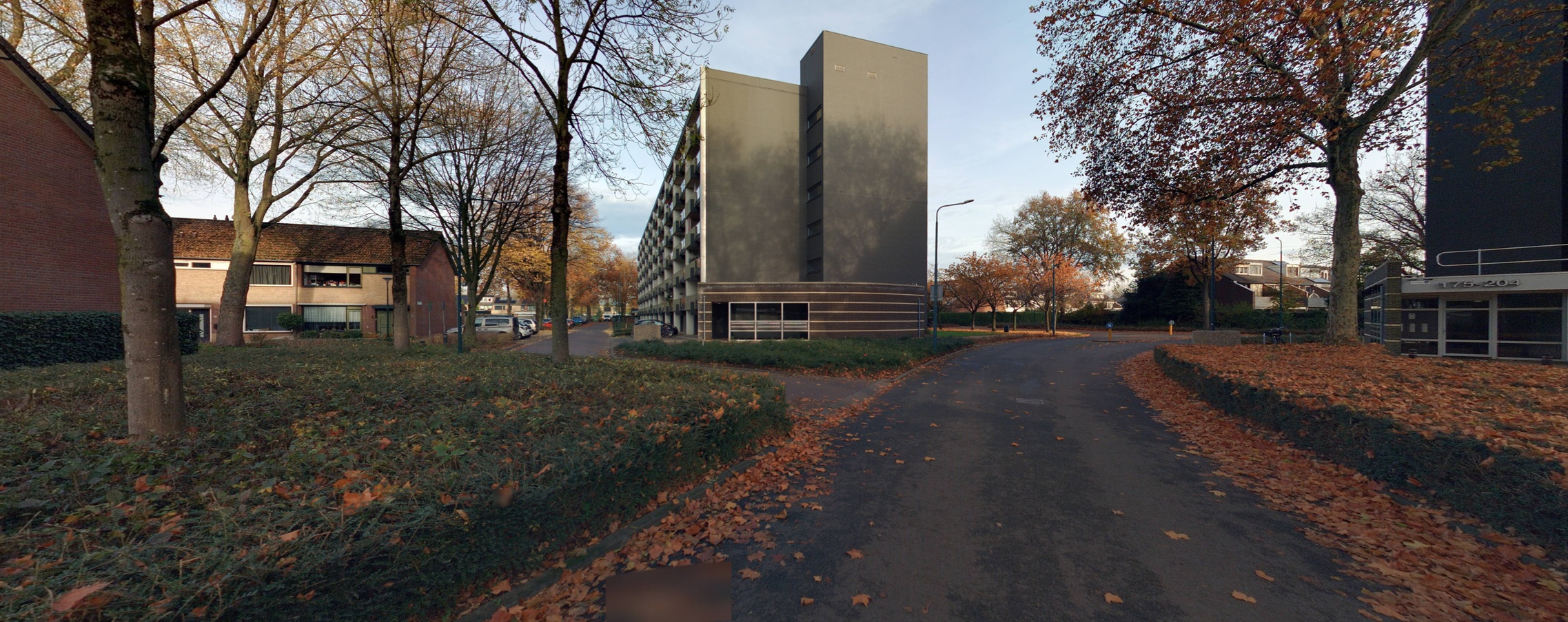 Patrijzenveld 61