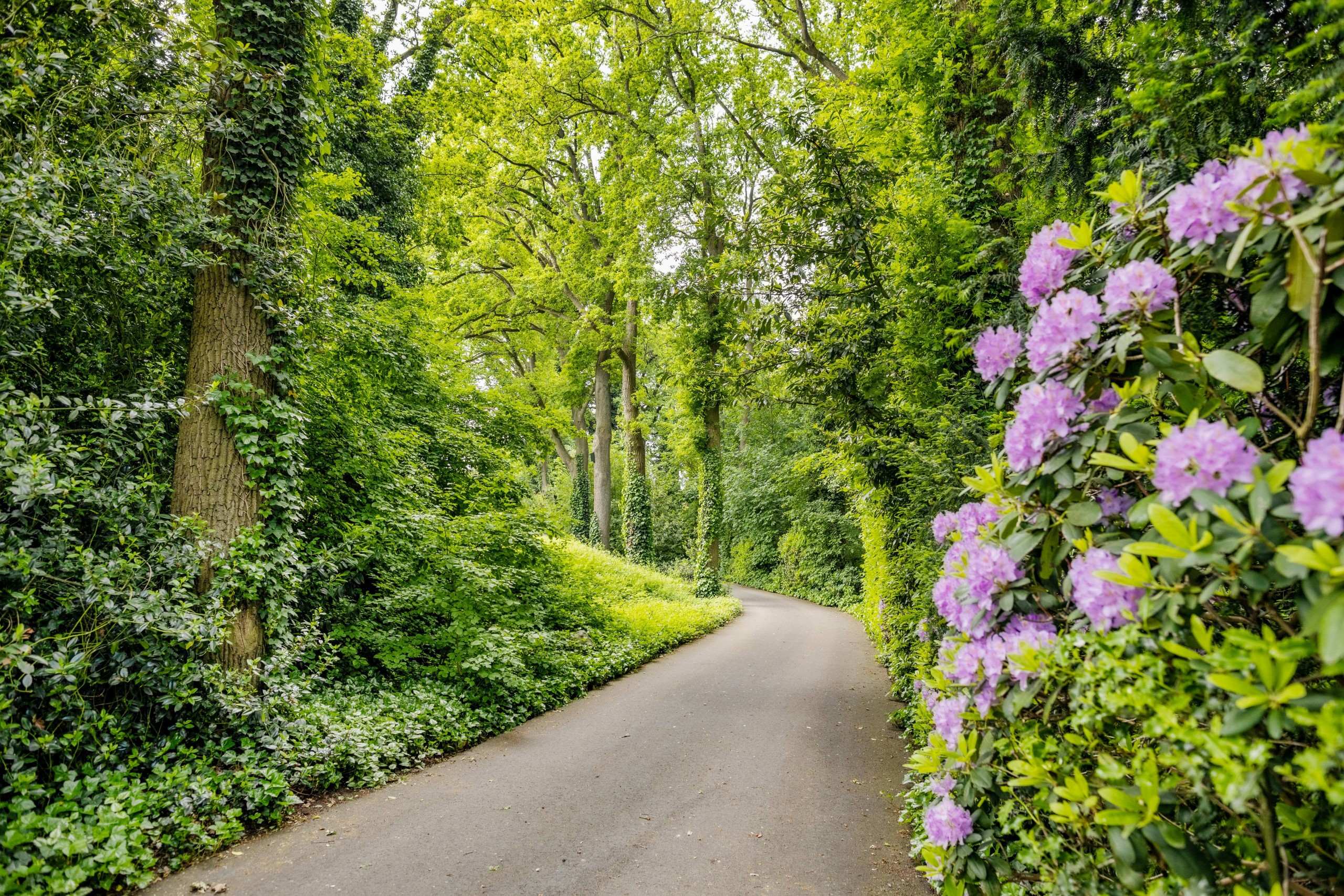 Park Eikenheuvel 201