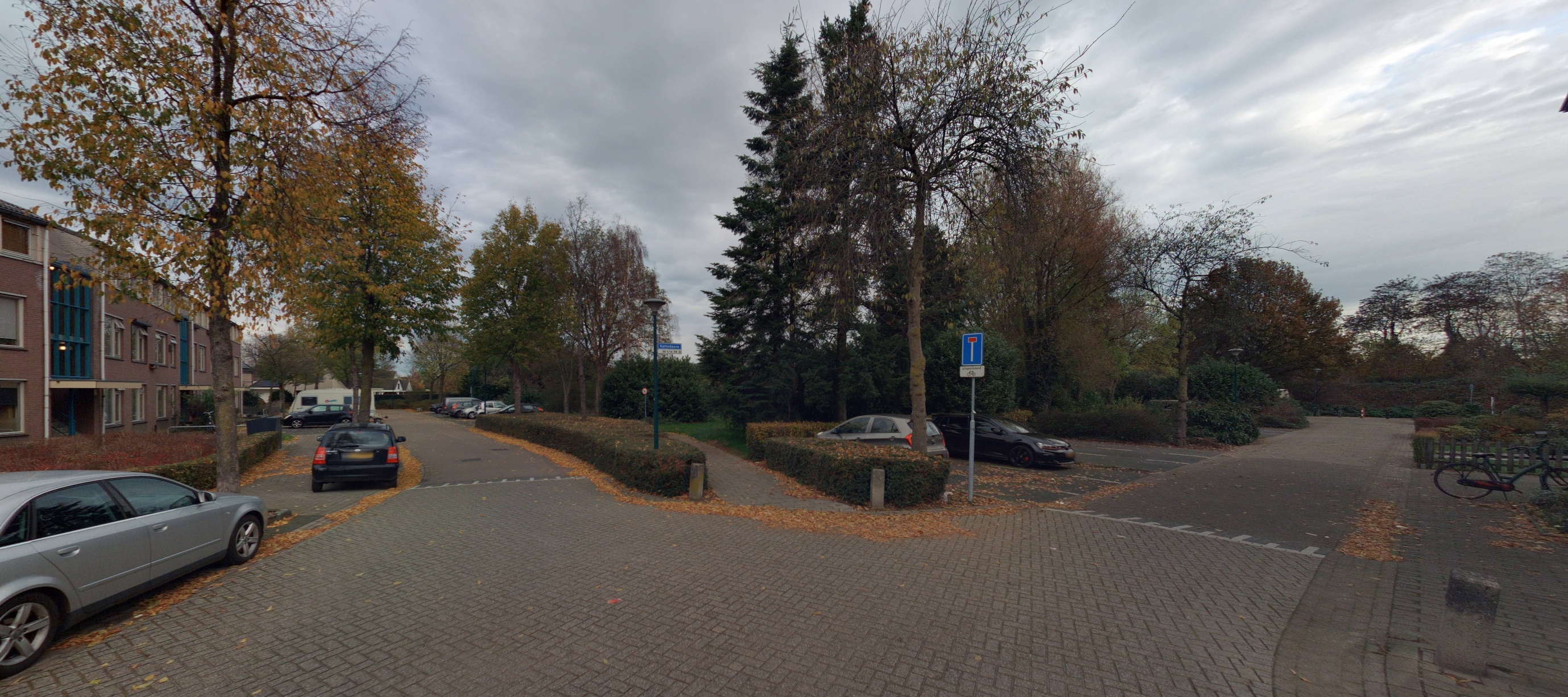 Kattedoorn 25