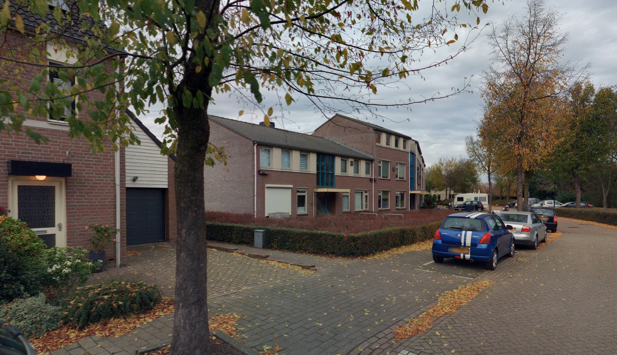 Kattedoorn 25
