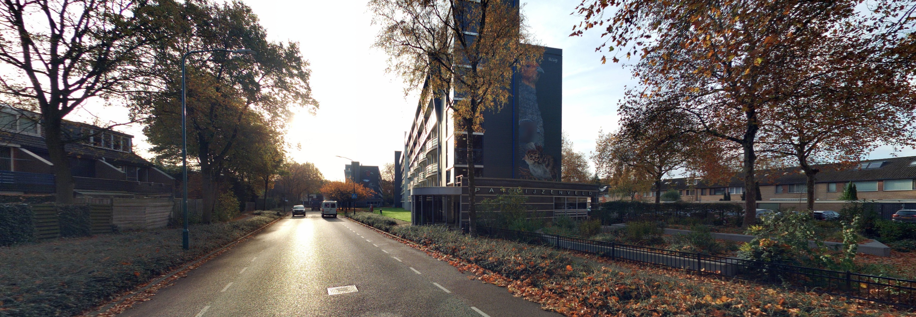 Patrijzenveld 60