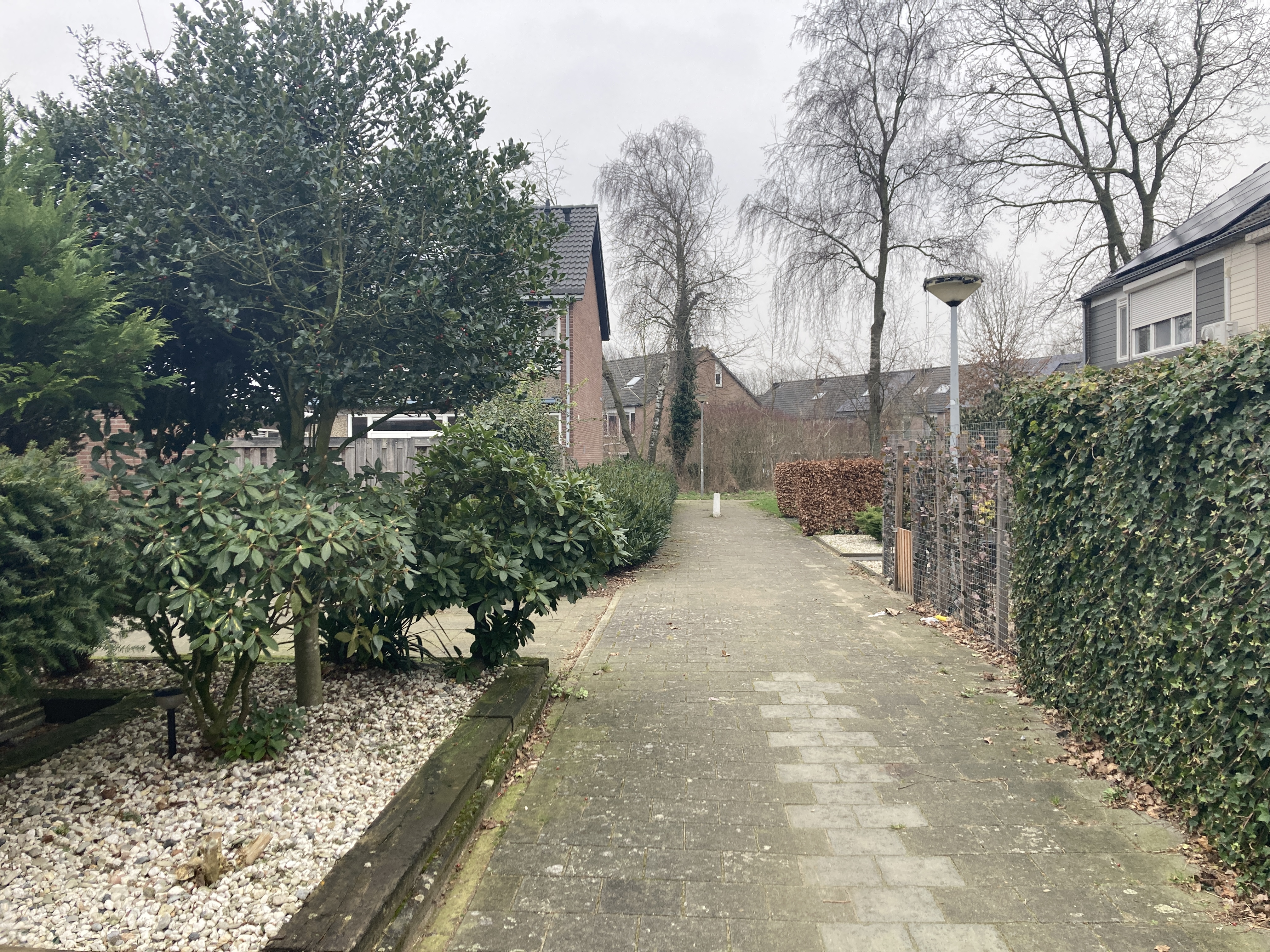 Orpheusstraat 14