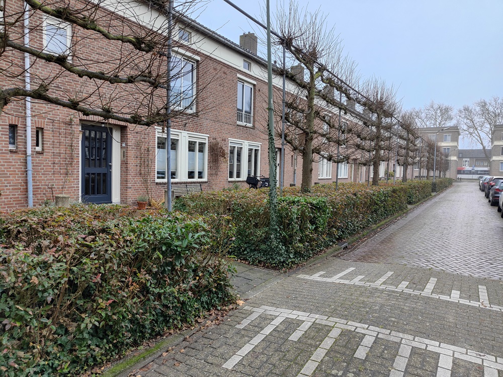 Arezzostraat 17