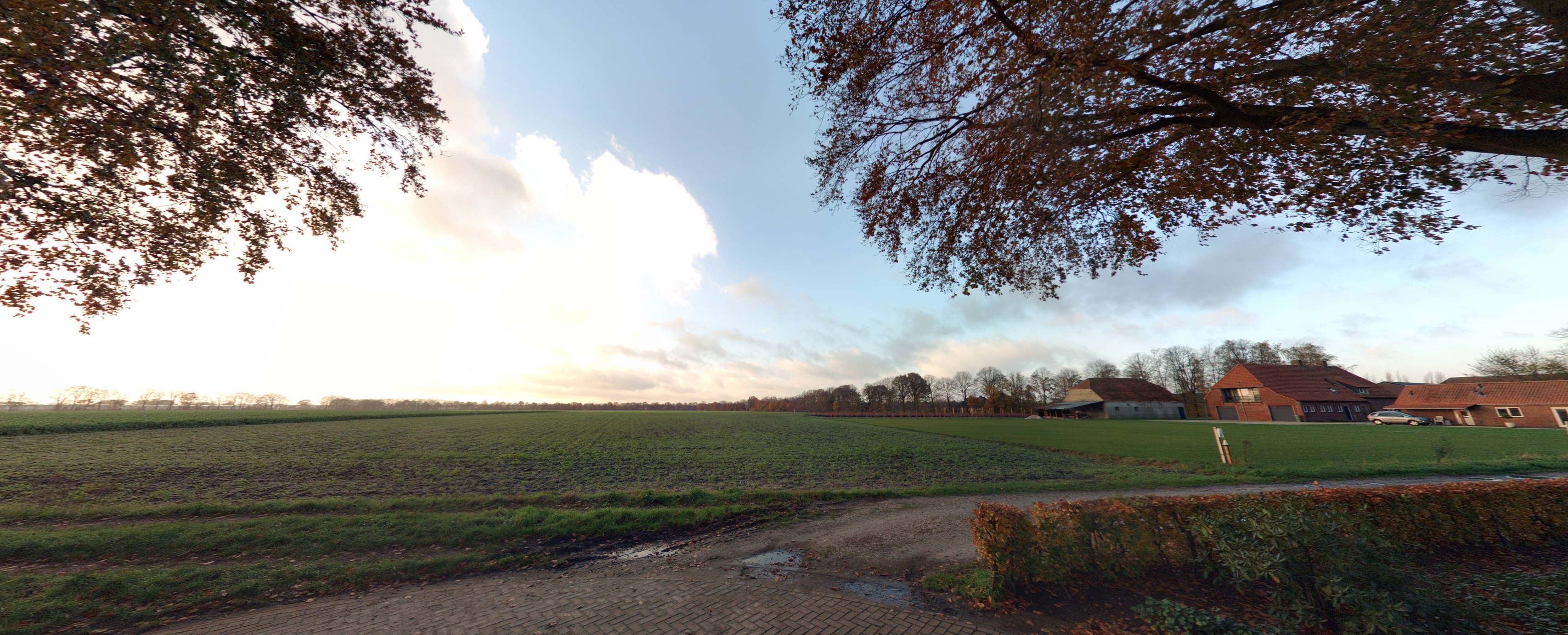 Dominicanenstraat 51