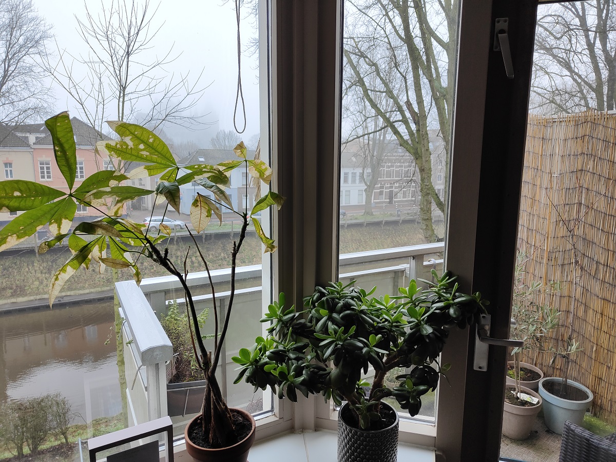 Zuid-Willemsvaart 344