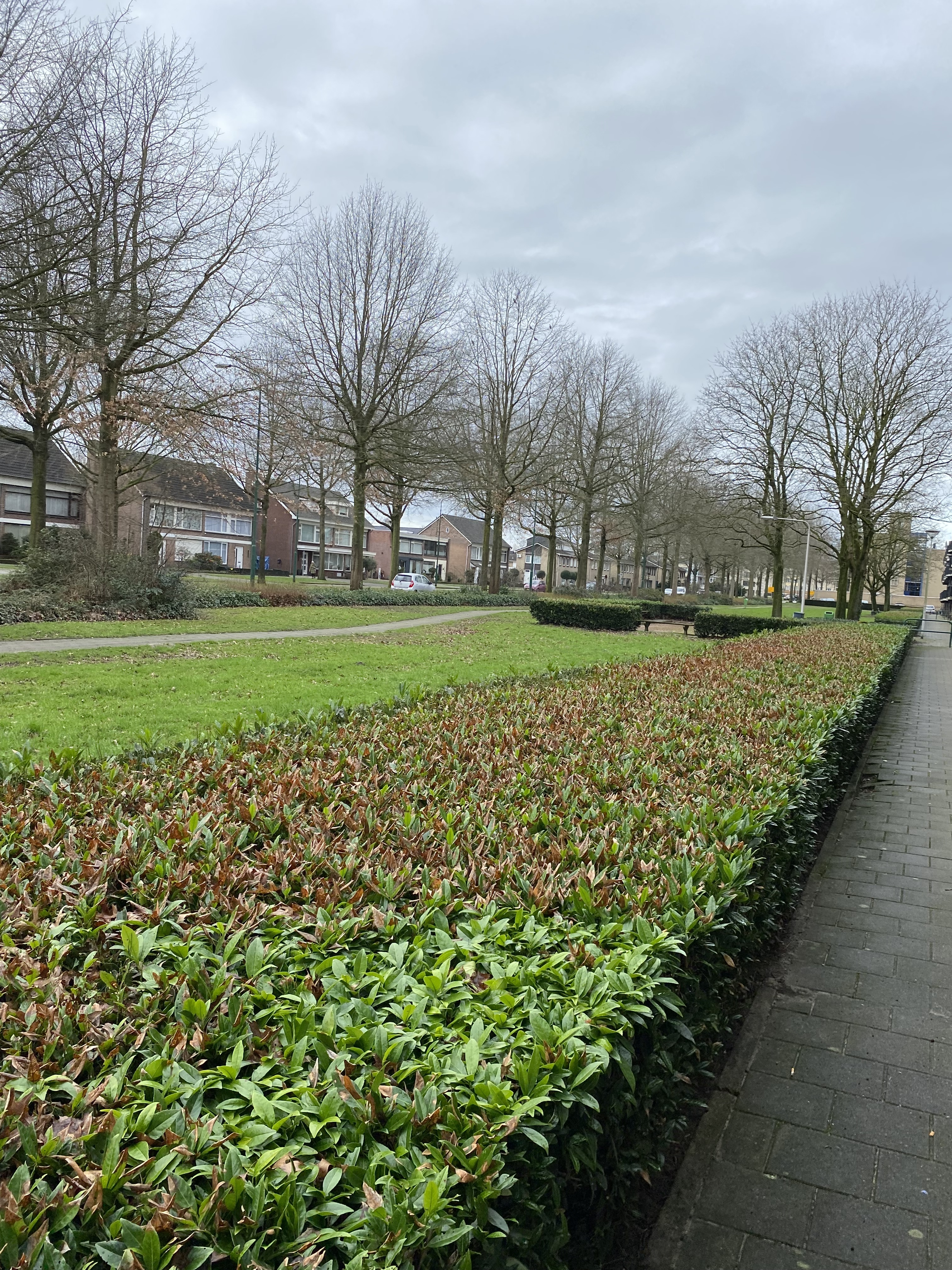 Hertog Godfried I Straat 40