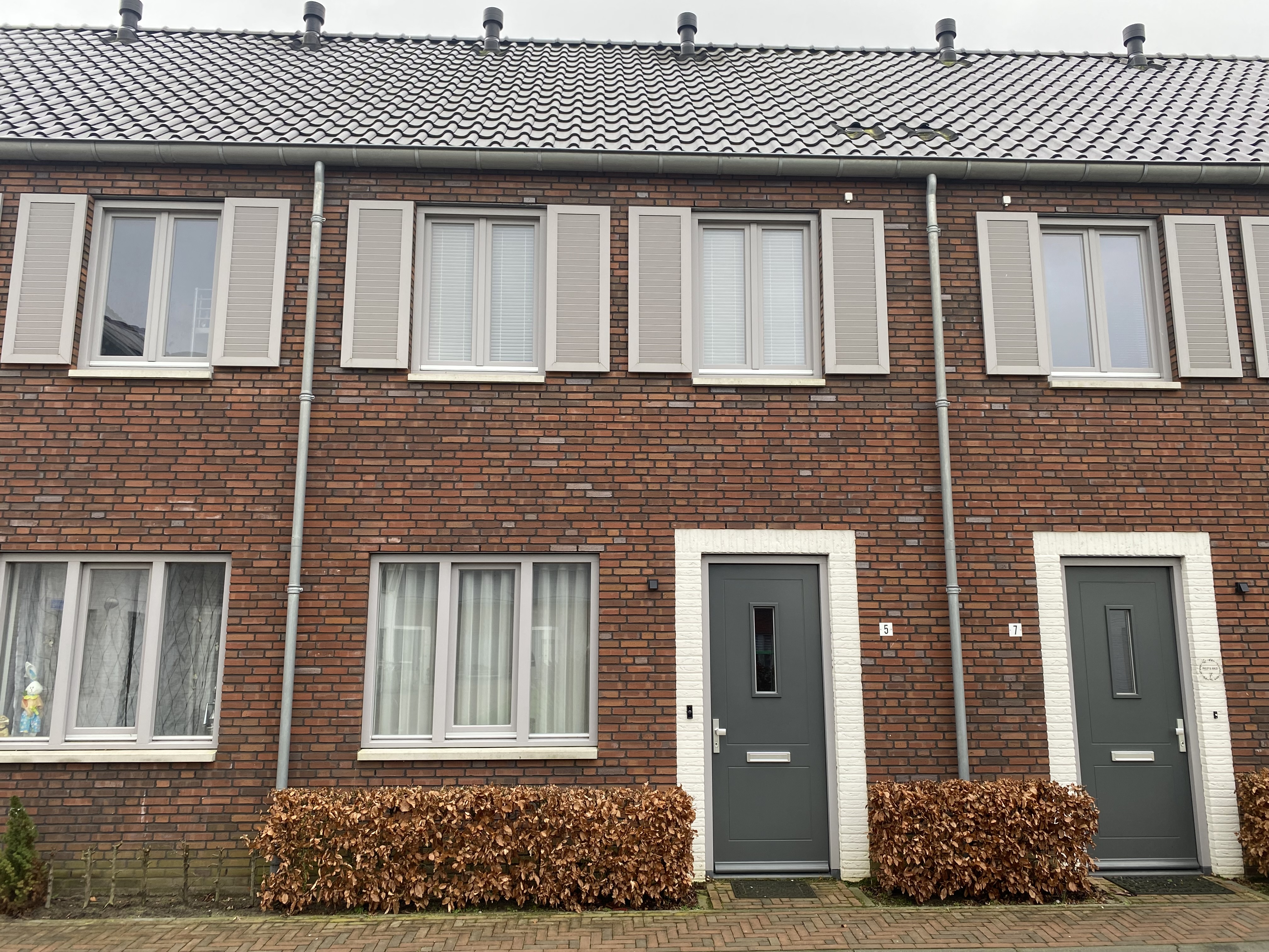 Vuurvlinder 5