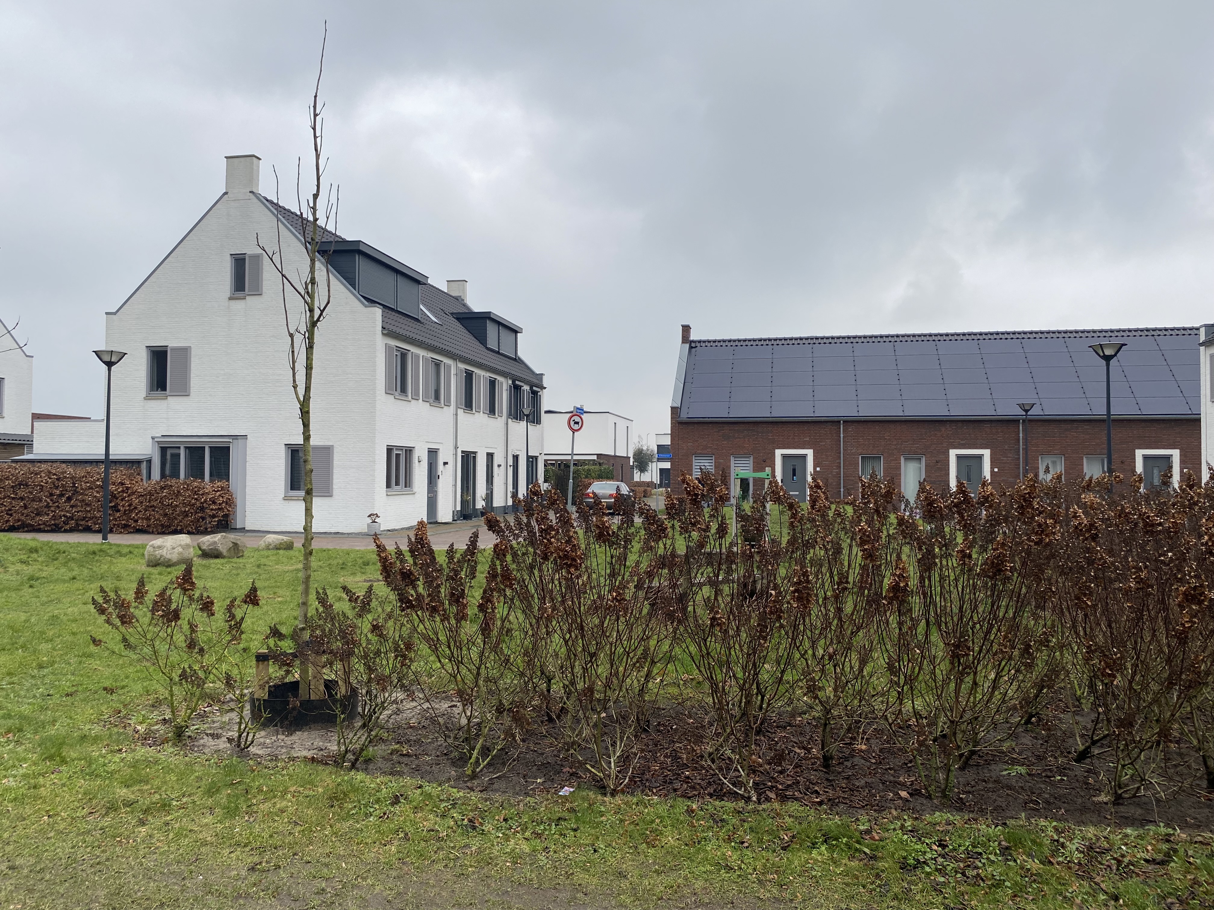 Vuurvlinder 5