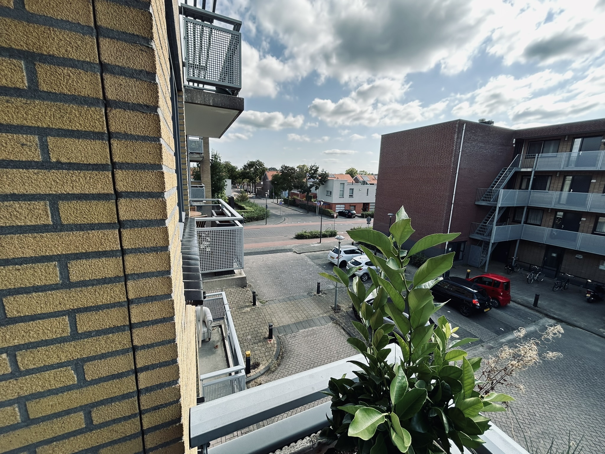 Baandervrouwenlaan 153