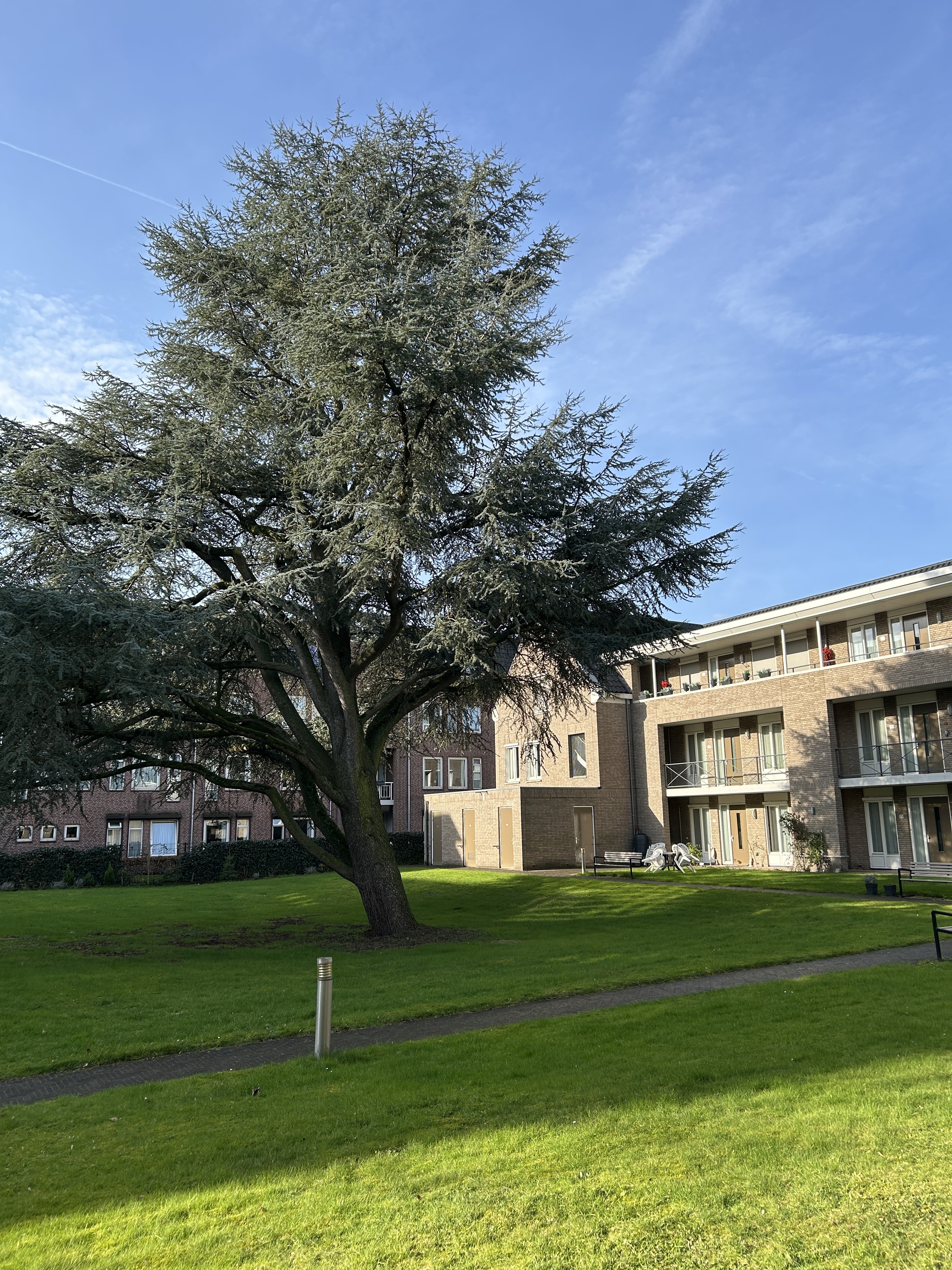 Mieke de Brefstraat 5