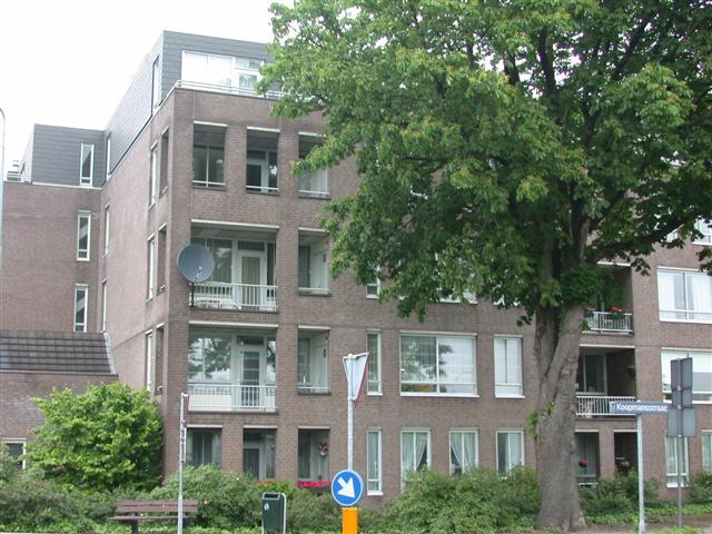 Julianastraat 142, 5401 HG Uden, Nederland