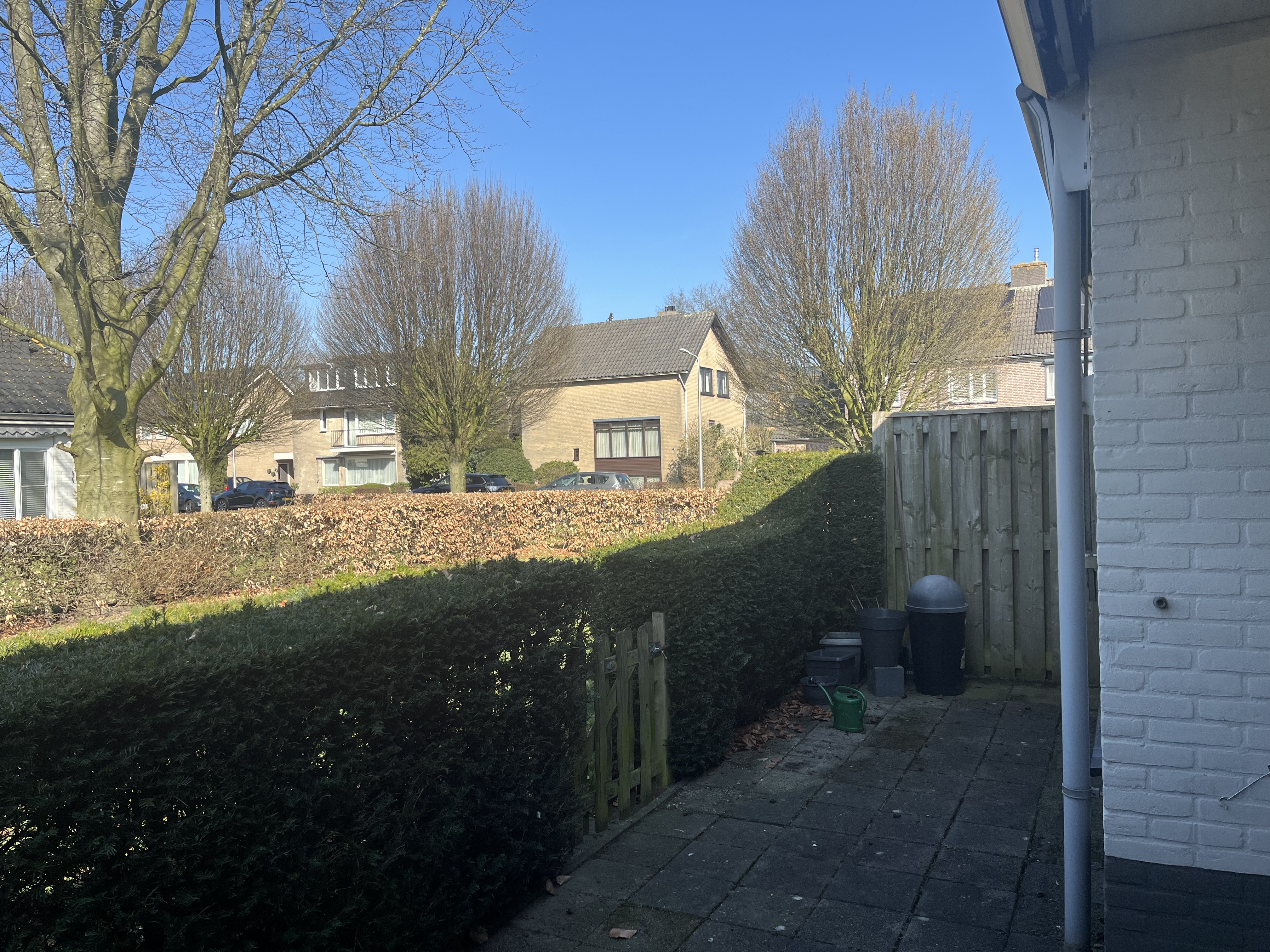 Doctor Dreesstraat 25