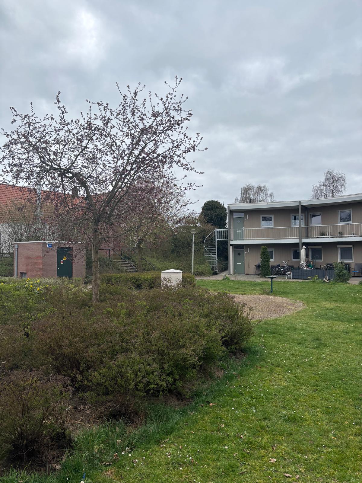 Wethouder Tiboschplein 1