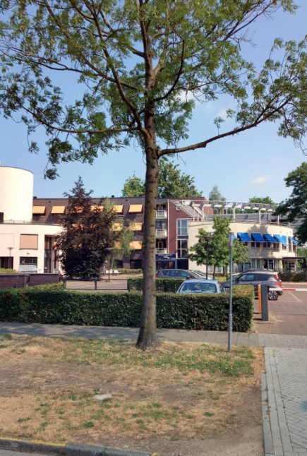 Reigerdonk 70, 5467 AN Veghel, Nederland